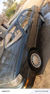 بطه • أصولي • قابلة تفاوض