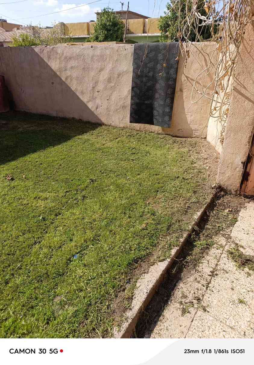 السلام عليكم اشتغل جميع الحدائق والبساتين  وتنظيف الحدائق من الدغل وتقليم الأشجار وزرع الشتل وقص الحدائق بل مكينه عل نمره وحدة وقص الأشجار الكبار  كادر متميز وسريع إتصل رقم الهاتف***********
