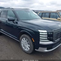 باليسايد هايبرد • ٢٠٢٦ • مزاد أمريكي