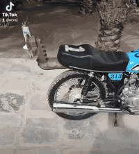 سلام عليكم دراجه للبيع الشاصي 11 والغراض الباقيه 25 الدراجه رقم المكان نيسان يم نفق المختار رقم صاحب الدراجه*********** مكلف بلنشر
