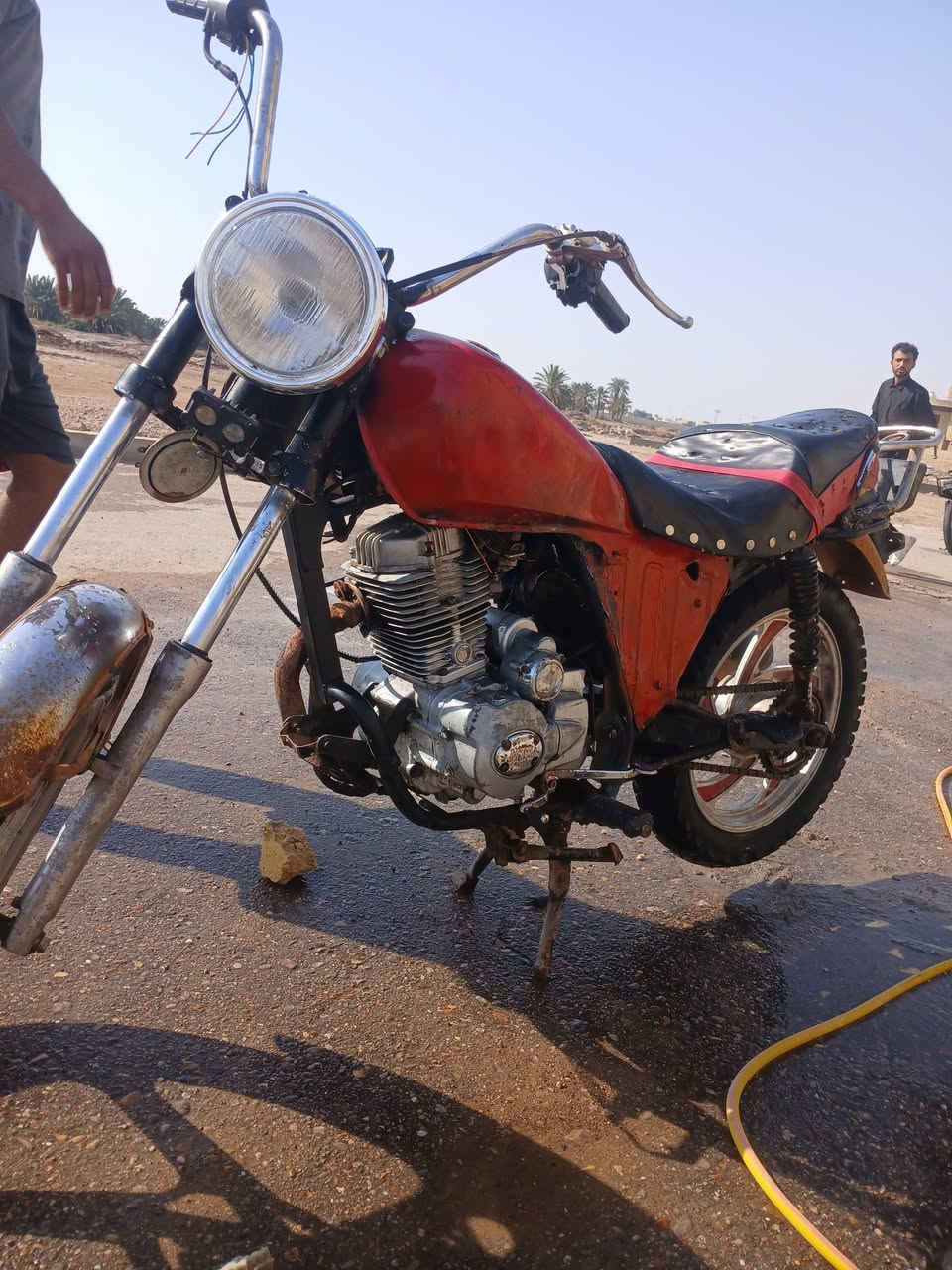 السلام عليكم فرخ هارلي للبيع عنوان ميسان العماره محرك جديد الاتصال. ***********
