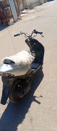 شغالة • اوراق ضاعت