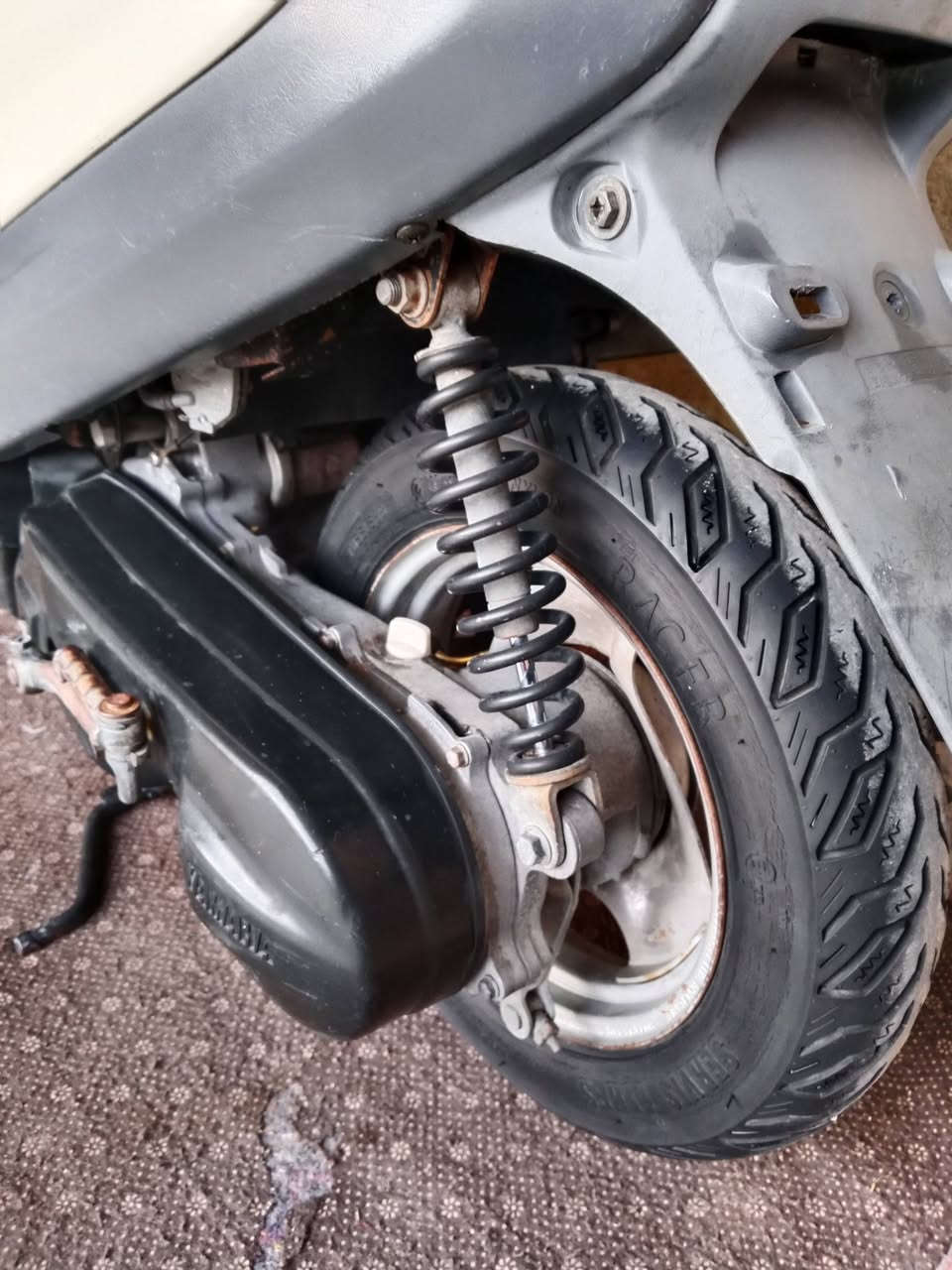 دراجة منغولي مكفولة كفالة عامة ***********
