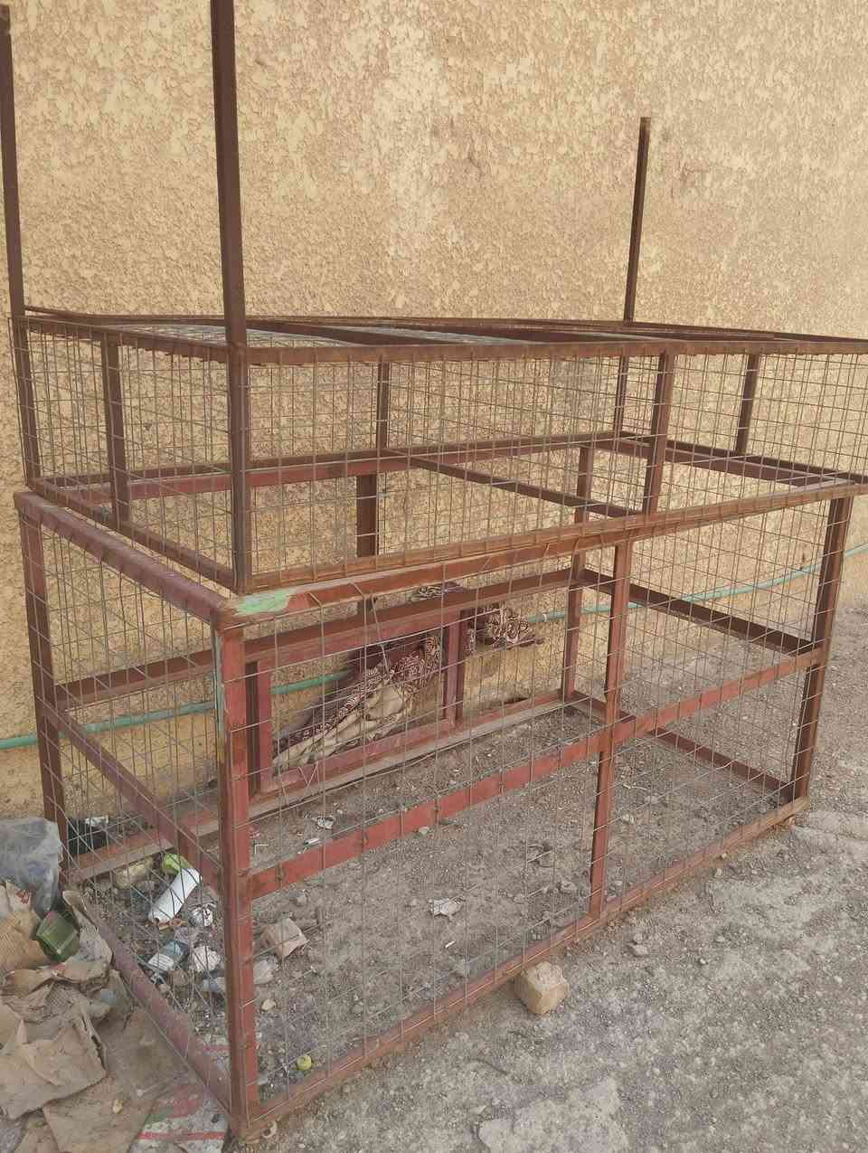 ‏‪0771 363 8098‬‏
غراض جدد مال دجاج
