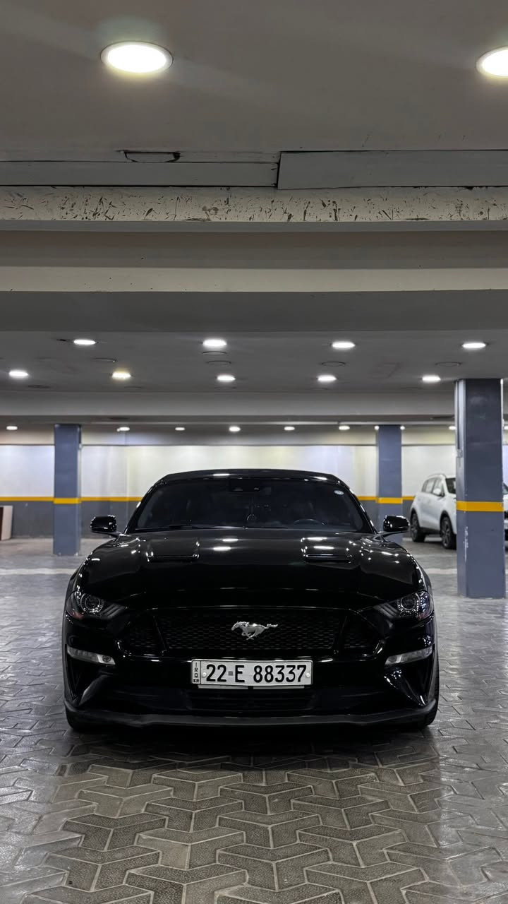 2021 gt فورد موستانك
فول  مواصفات1/1  للاخير   دجتال  داخل جلد   اكتف   ترحيب  شكو مواصفات بالموستنك موجودة بيها  كلش  قطعة واحد صبغ  فقط بدوون ايرباك السيارة 
   (نص جاملغ خلفي  الصبغ )
ماشية 30 الف  ميل فقط . ‎السياره كلها بلادية
عليها  هوائيات  وبرمجة وكلش قوية معروفة بنظافتها  .
وبيها كواتم اكتف  تطفي من يمك الصوت .
حادثها موضح بالصور  كفالة عامة بدون لغد بدون شاصي   بجم  كبس  علما  ان الباب  راجعة وكالة نفس اللون    بدون صبغ  فقط الجاملغ  خلفي نصة مصبوغ   فقط ،،بدون دواخل ومحرك وتبريد وصدر  مكفولات وجديدات  رقمها اربيل  هزة  جديدة وسنوية   تحويل مباشر مني  ورقم   جديد لل2030  سعرها 
210  ورقة وبيها مجال بسيط   نزلت  سعرها   مراعاة  للسوك  والوضع   والسيارة نظيفة و متعوب عليها  متتقارن بالمهجومات 🖤

*********** سجاد الخفاجي  مكاني زيونة او يرموك
