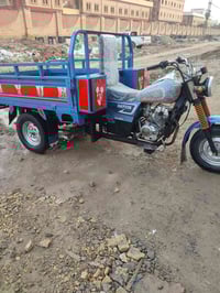 ستوتة دايوان • موديل 13 • كوت الحاوي