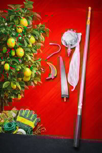 عصاية شجر • متعدد الاستخدام • أدوات حديقة