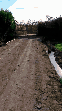 مزرعه 4 دونم  للبيع مع بيت طابوك بناء حديث  الموقع قرب قريت المناعع داخل المزرعه  حقل مع بحيره   100 نخله 50 حمالات ***********
