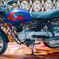 بوكسر • فحل • ٢٠٢٣