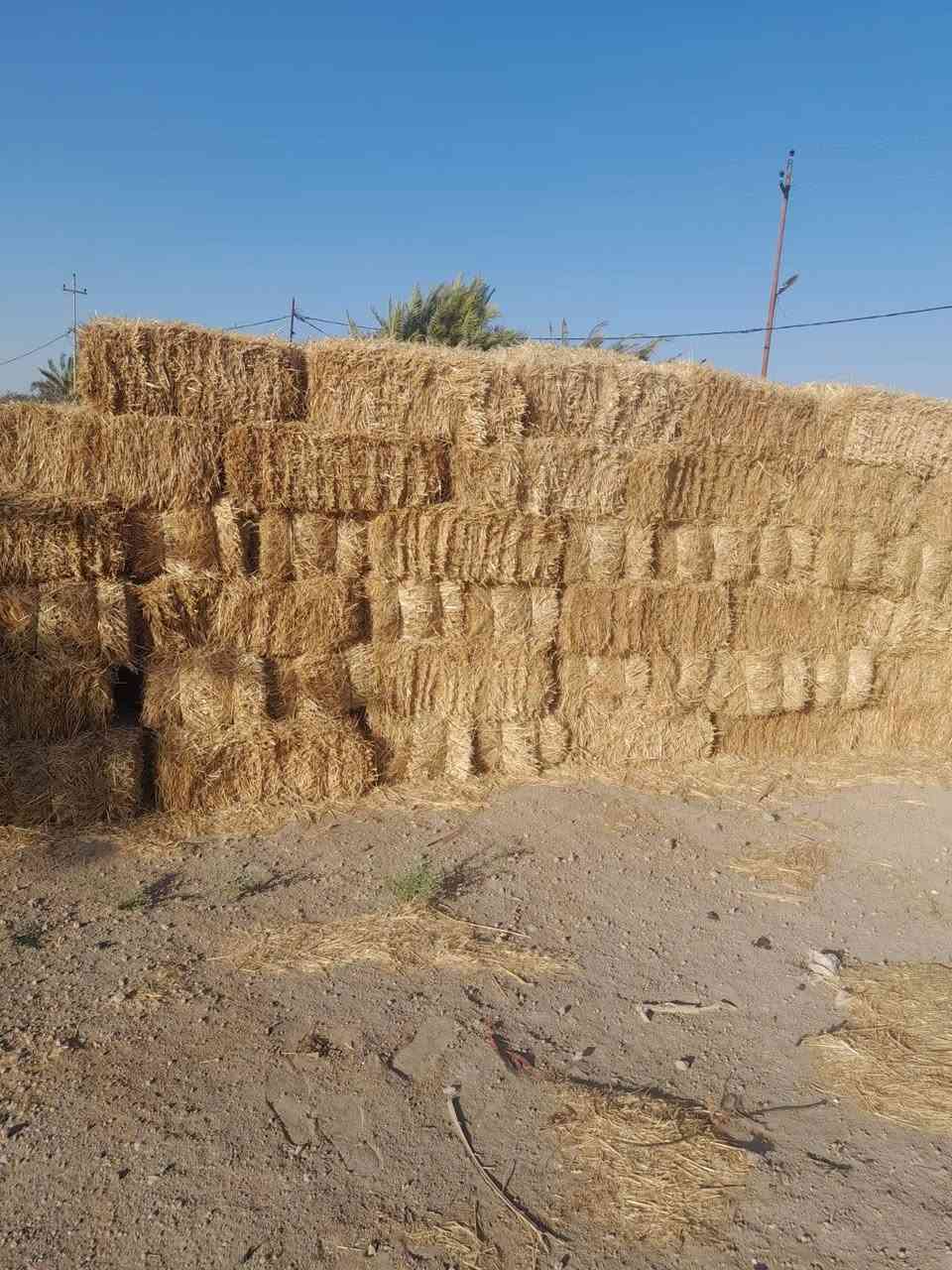 كبس تبن درجه اولى للبيع للاستفسار الاتصال ***********
***********
