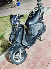 فراشه • فحل • نجف