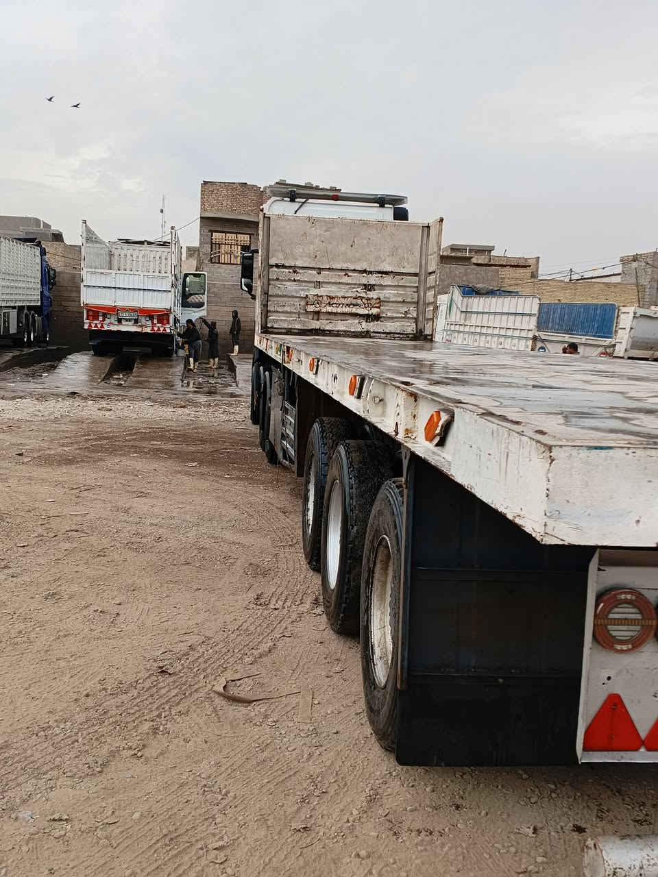 عربانه ثنعش ونص دنكير سربس جيف كامل العنوان بغداد المستل السع،  75 ***********
