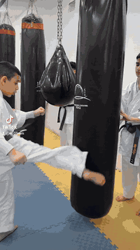 اكاديمية الحزام ألأسود افتتاح دورات الكيوكوشنكاي كاراتيه باغوت القتالي...