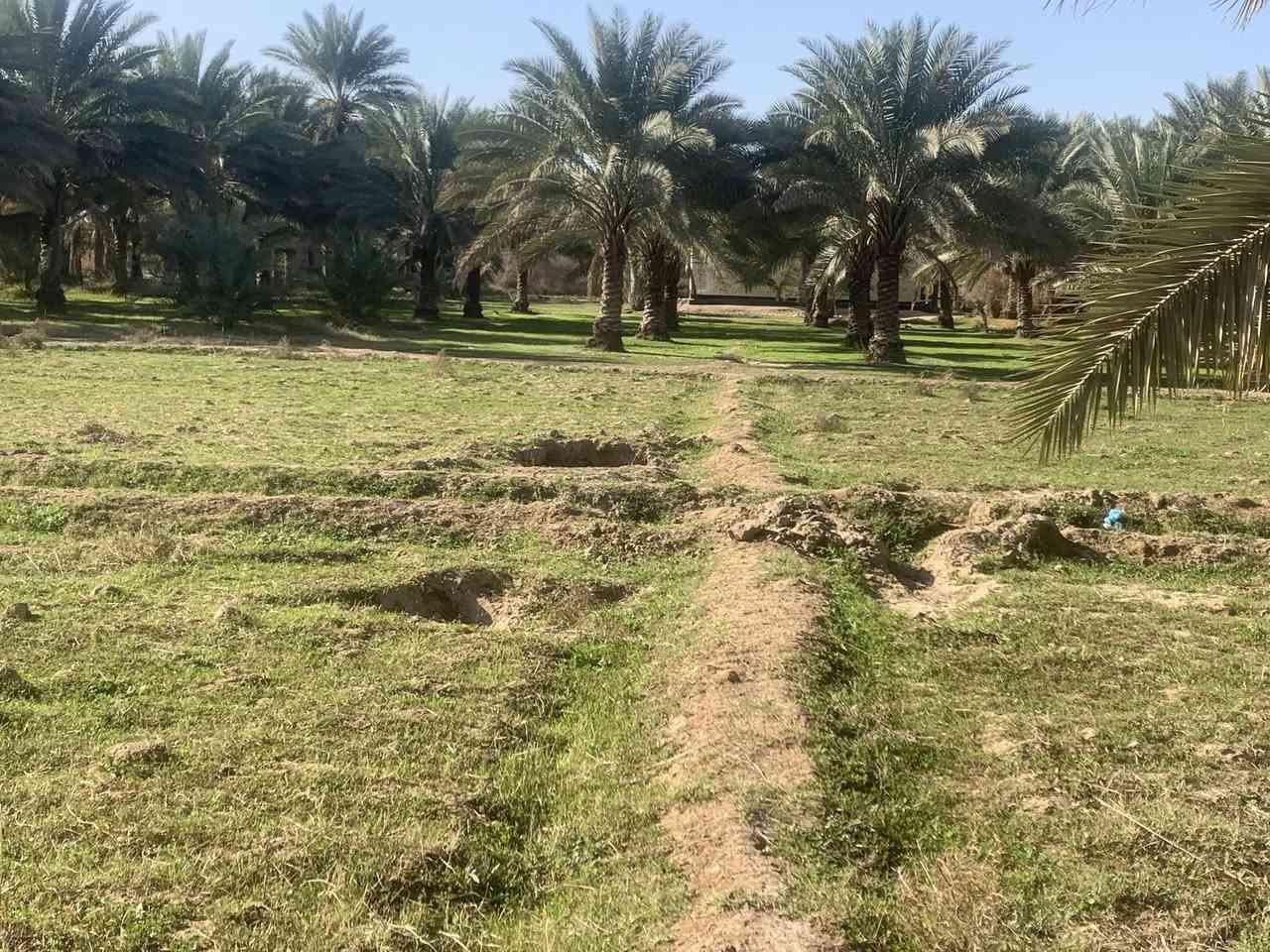 السلام عليكم البيع دونم الوجهة 47 متر سند 25 قرب حولي جديد مال بغداد قريب على مجمع رحمان سعر 220 وبي مجال استفسار رقم ***********
