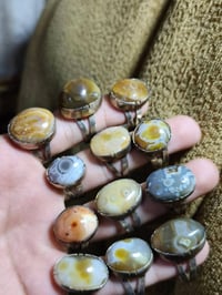 شلعة محابس • للبيع • سعر ثابت