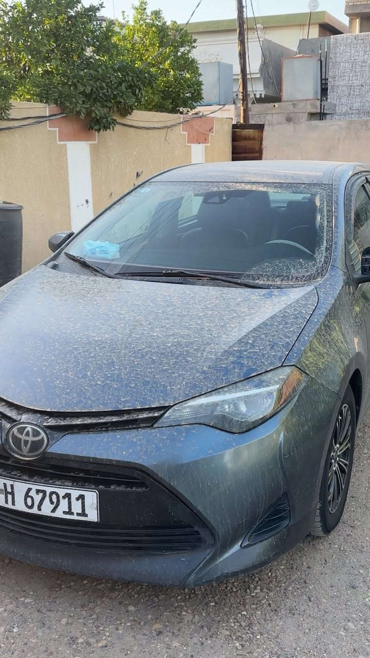 تيوتا كورلا 2017وارد أمريكي فئة Le
ضرر جاملغ خلفي ايمن وأيسر فقط بدون ايرباك وباب

صور ضرر منزله ويه صور 
باقي سياره مكفوله 
ماشيه 200

محرك كير  تبريد 
 كله بشرط بدون اي نقص
 
رقم جديد تحويل مباشر 

مواصفات السياره:-
شاشه كامره بلاد 
تحكمات ستيرن جهتين
تتدفئه كشنات 
كروز سرعه 
رادار امامي
مانع انزلاق 
تبريد بيانو 
لايت زنون بلاد

السعر :128 وبيه مجال 
مكان السياره بغداد  
☎️***********
