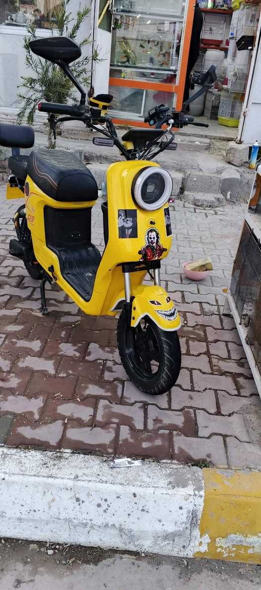 سلام عليكم ورحمه الله وبركاته دراجه R9 موديل 2024 دراجه نضيفه وما ناقصها شي ٥ بطاريات جديدات قبل اسبوع فحصتهن مابيهن عيب السعر ٤٥٠ بي مجال للطيبين العنوان جلولاء


**إذا كنت صاحب هذا الإعلان وتريد حذفه لأي سبب، رجاءا أرسل رسالة إلى الدعم الفني**