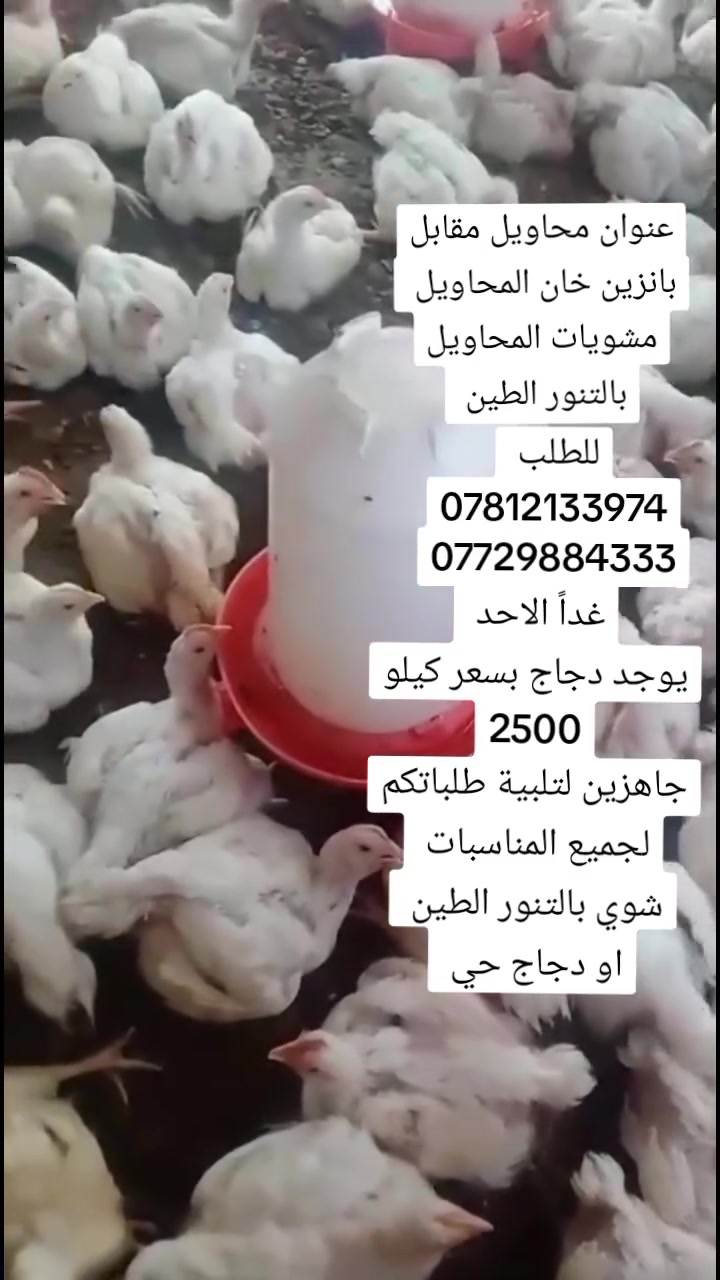 اللهم صل على محمد وآل محمد
امير طالب الحسناوي


**إذا كنت صاحب هذا الإعلان وتريد حذفه لأي سبب، رجاءا أرسل رسالة إلى الدعم الفني**