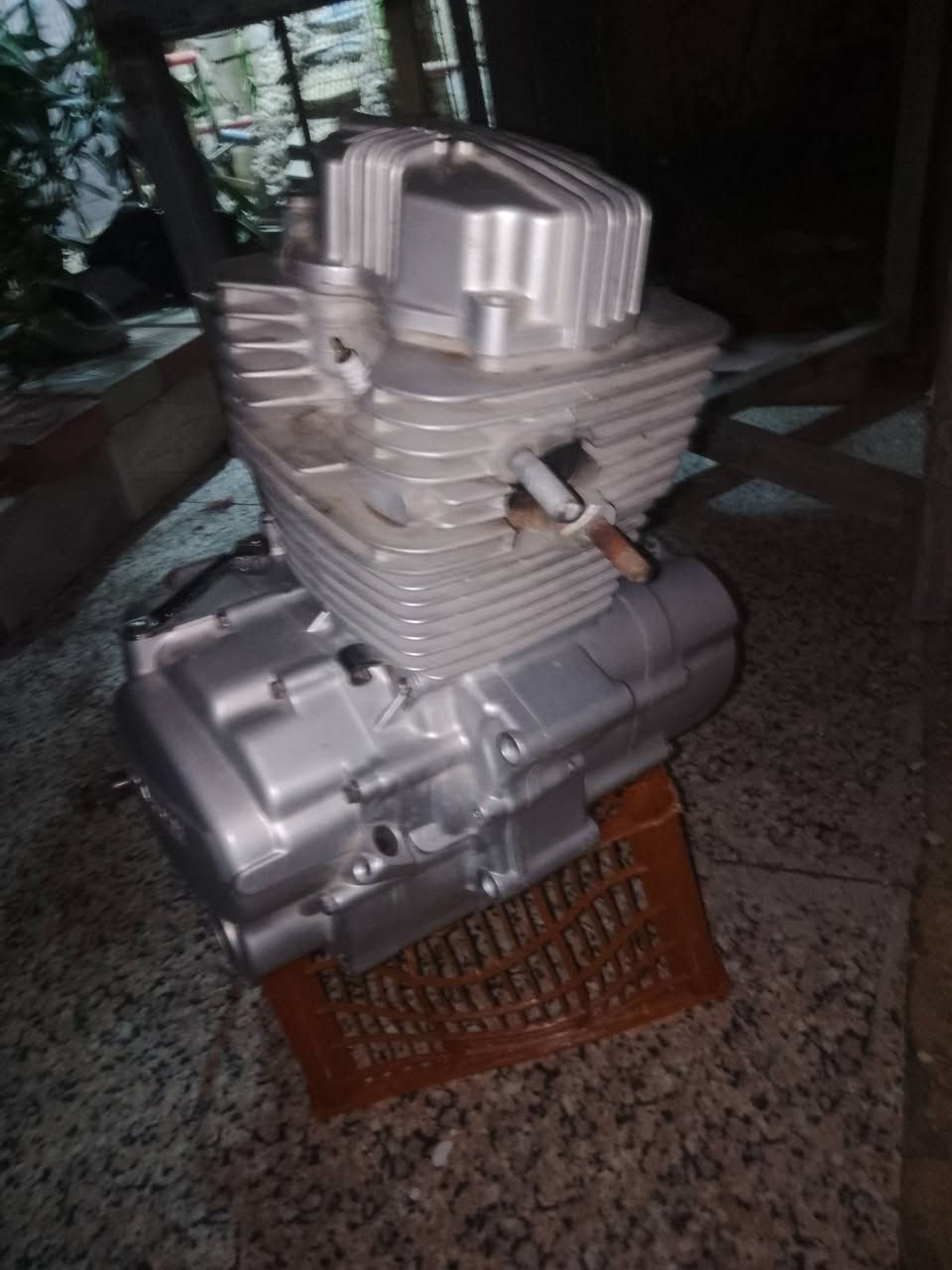 س ع
متاح محرك ما مفتوح بي بس نمره ثانيه بيها خرخشه 
مكاني ناصريه مركز  سعر خاص


**إذا كنت صاحب هذا الإعلان وتريد حذفه لأي سبب، رجاءا أرسل رسالة إلى الدعم الفني**