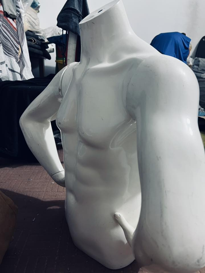 مليكانات شبابيه عدد 2 للبيع
مكانهن كربلاء السعر 30 الف 
***********
