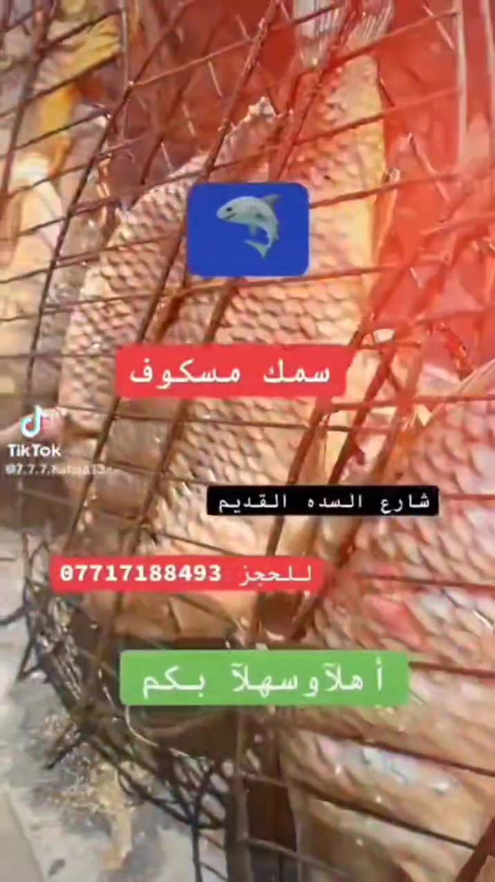 أسماك بركات الزهراء ع

لشوي الاسماك🦈 على حطب الفواكه والحمضيات
تجهيز سمك 🐠حي مقطع للمنسبات
توصيل كافة مناطق المسيب 
العنوان المسيب شارع السده القديم مقابل محطة علي كبريت 
للحجز☎️ *********** عباس الجبوري 
***********☎️ حسين
أهلآ وسهلآ بكم
