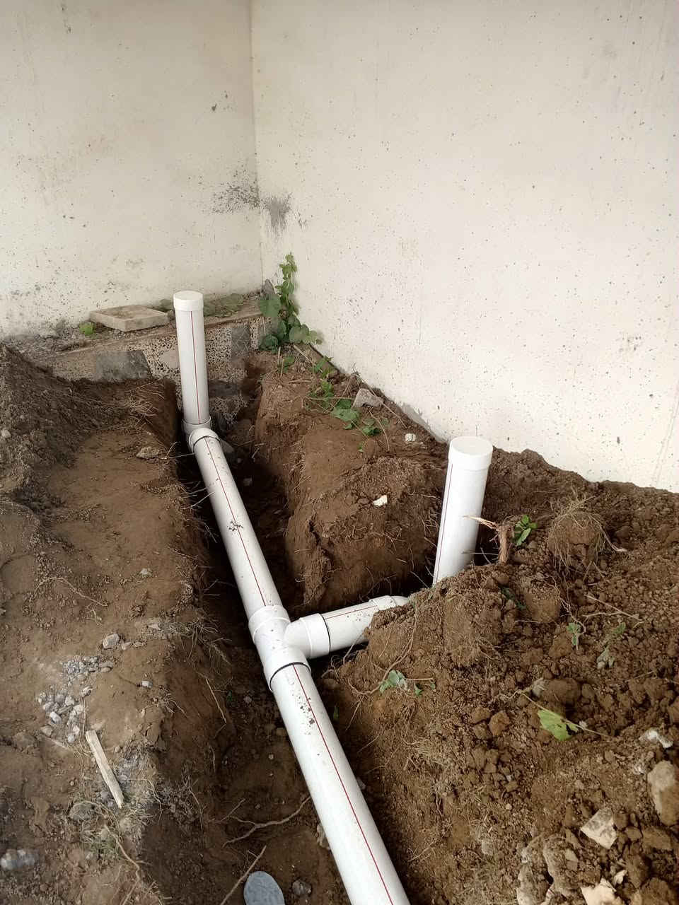 سلام عليكم
الحمدلله تم إنجاز العمل تأسيس صحيات كركوك

مجاري بيت الحاج شهاب كركوك حي واسطي 

تأسيس حديث 

مطبخ حار +مقعد غربي دفن تعليك+سيفون

دفن +مغاسل تعليك دفن 

بيت 200متر مشتمل طابقين تم الانجاز 

شغل كدام العين فول فول واحنا كادرنا حاضرين 

***********

واتساب ماسنجر مفتوح دوم 

وتحياتي ♥️
