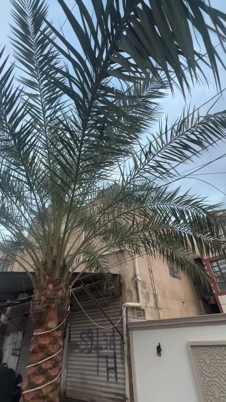 جي تي ار 2012للبيع صارلها شهر ونص من نزلت من الرمبة والاوراق مالتها موجودة اي تفاصيل اكثر واتساب ***********
