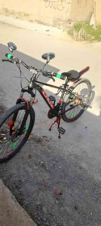 باسكل كيمو • ٢٧.٥ بوصة • قريت السعدي الشط