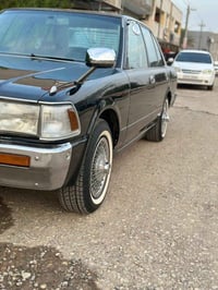 نضيفة • ١٩٨٩ • صبغ صفحتين