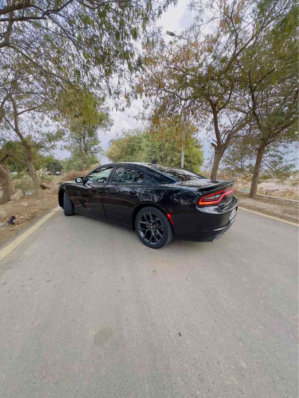 Dodge_charger
جارجر موديل 23 
وارد  امريكي 
كشن حضن
مواصفات معروفة 
تشغيل عن بعد 

بصمه ودخول ذكي
كشن كهرباء
حساسات  خلفي 
كامرة دوارة 
وبيه بعد مواصفات هوايه
مكينه بلكارتون
ماشية 40mi 

السيارة جديدة 
رقم دهوك بسمي 
سيارة بدون صبغ بدون تعديل بدون بارد كفاله عامه من كلشي حتى الدعاميات
فقط طخة زغيرة ب جاملق لخلفي 
وسياره مابيه نقص برغي 
العنوان بغداد 
سعر 265
للتواصل *********** بغداد, العراق
