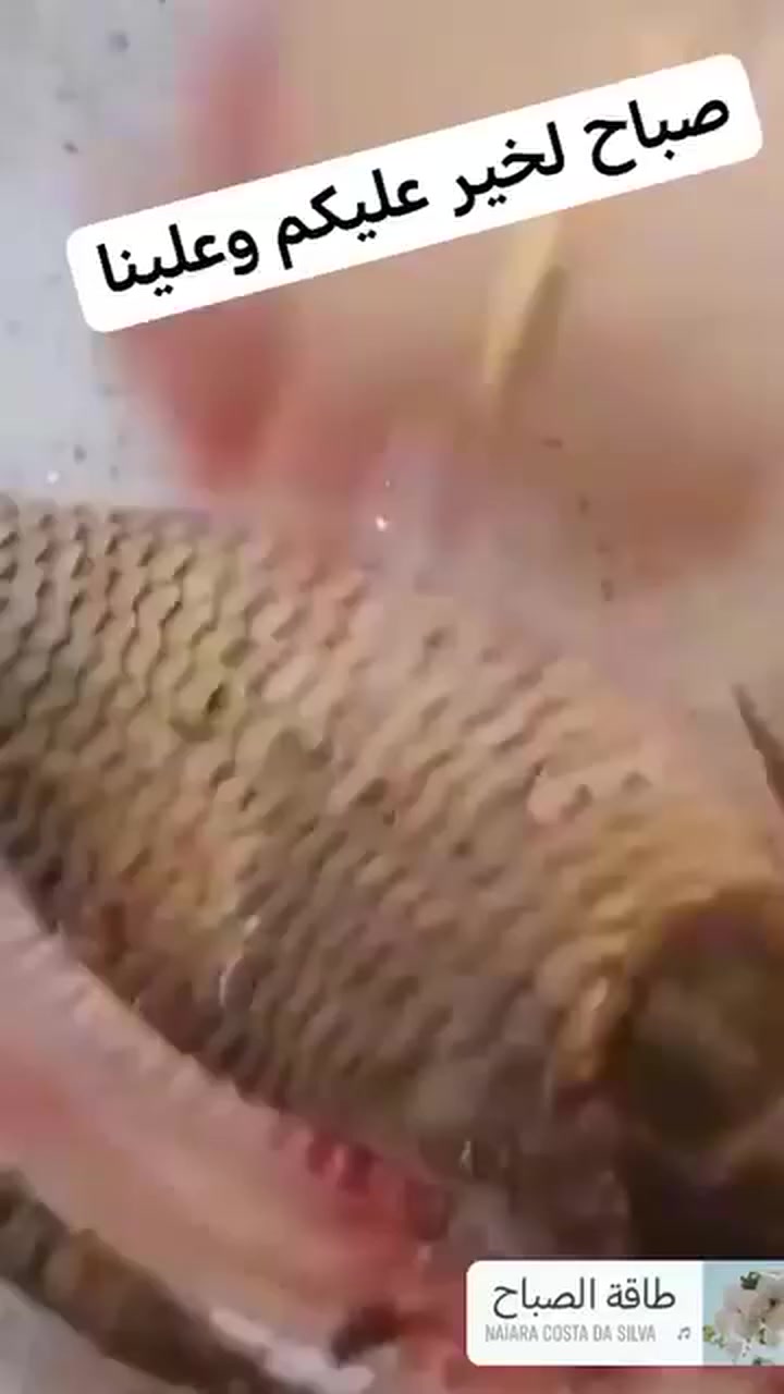 # مطبخ #العائله #يوجد #خدمه #توصيل عنوان مشخاب ***********
