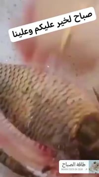 مطبخ • توصيل • مشخاب