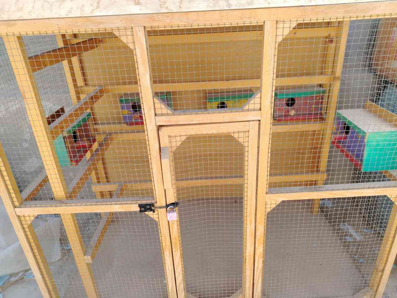 السلام عليكم قفص طيور زينة ممستخدم نهائي حجمه كبير ونظيف أي ضرر مابي مكاني بابل شارع 80
أي استفسار اتصال على الرقم ***********
