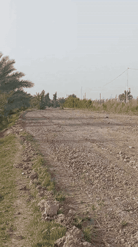 بستان للبيع 6 دونمات   مسيج من كل جوانب يوجد بل بستان كهرباء   وبي 70 ...