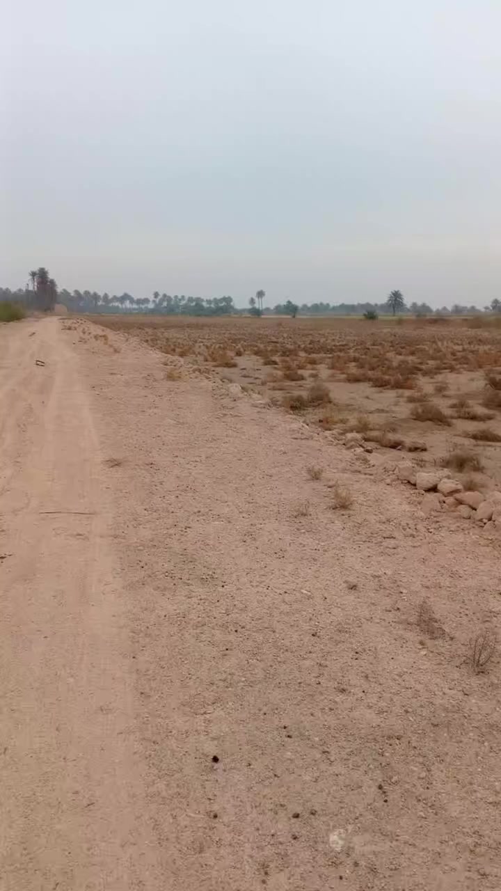 #كربلاء_طويريج_الخيرات 
كل التفاصيل داخل الفيديو 
سعر الدونم 68
للتواصل والاستفسار واتس او اتصال 
***********
