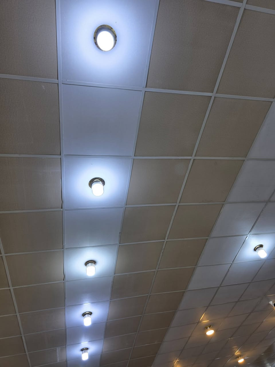 سقف ثانوي بورك مو بلاستك كامل مع الحديد مستخدم نضيف جداً صارلة فترهةقليلة من مشدود
العدد 200 متر
السعر قيم واخذ 
البصرة الهوير ***********
