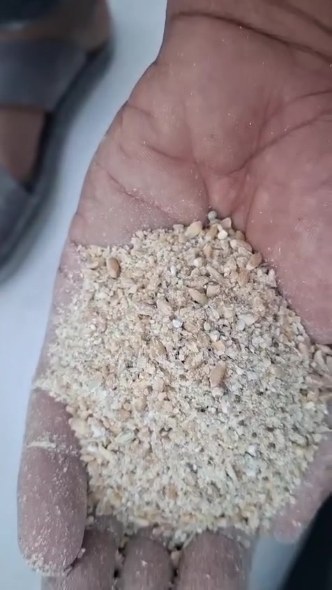 علف مجروش حنطة واصل جميع محافظة بنسب الأسعار 
@إشارة ***********
