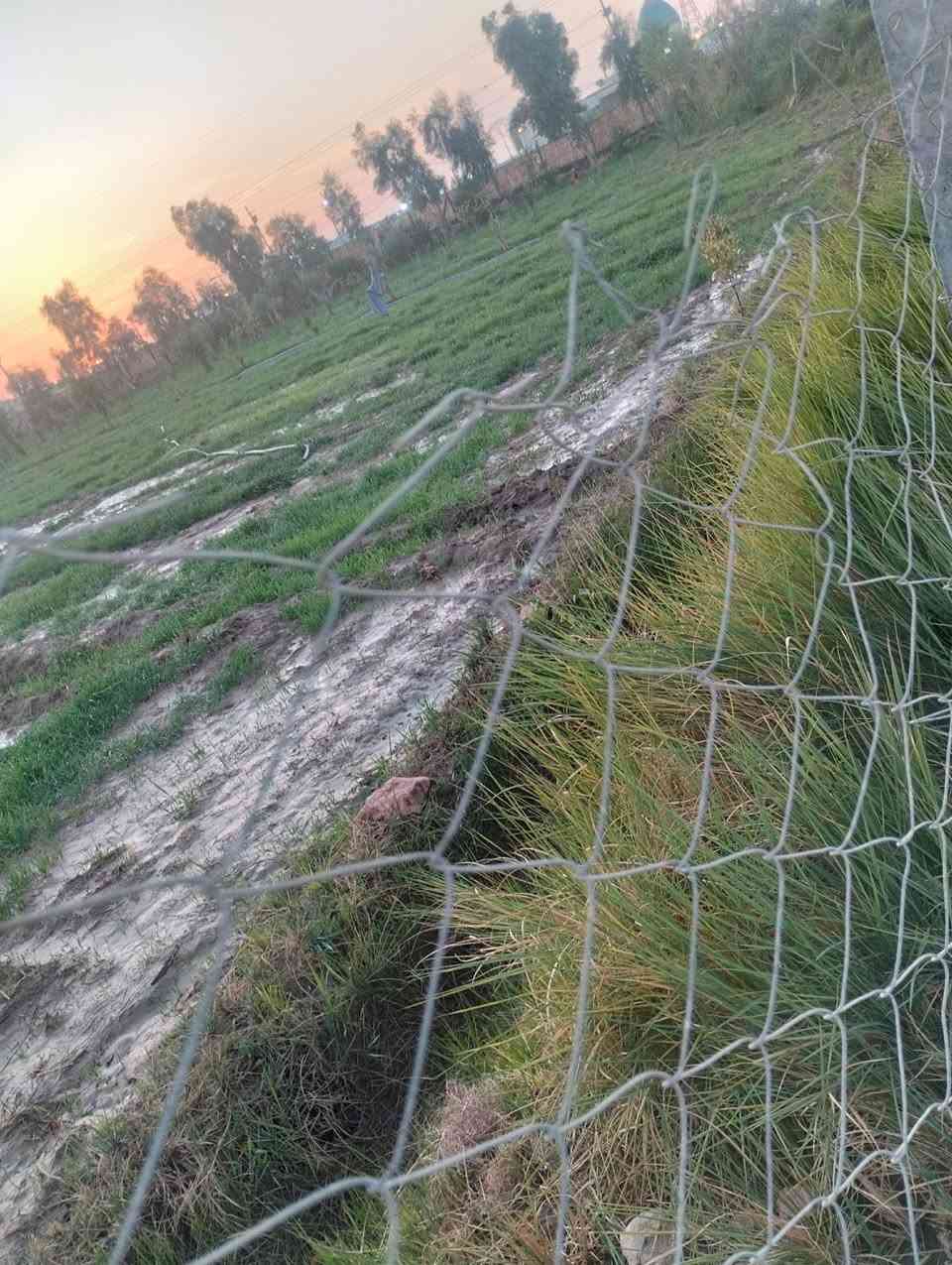 السلام عليكم للبيع قطعه ارض طابو زراعي سند 25 مداور المكان قرب سيدنا المنصور ع المساحه 500 متر+400+250+200 متر كل الخدمات كهرباء ومياه وتبليط *********** بي واتساب
