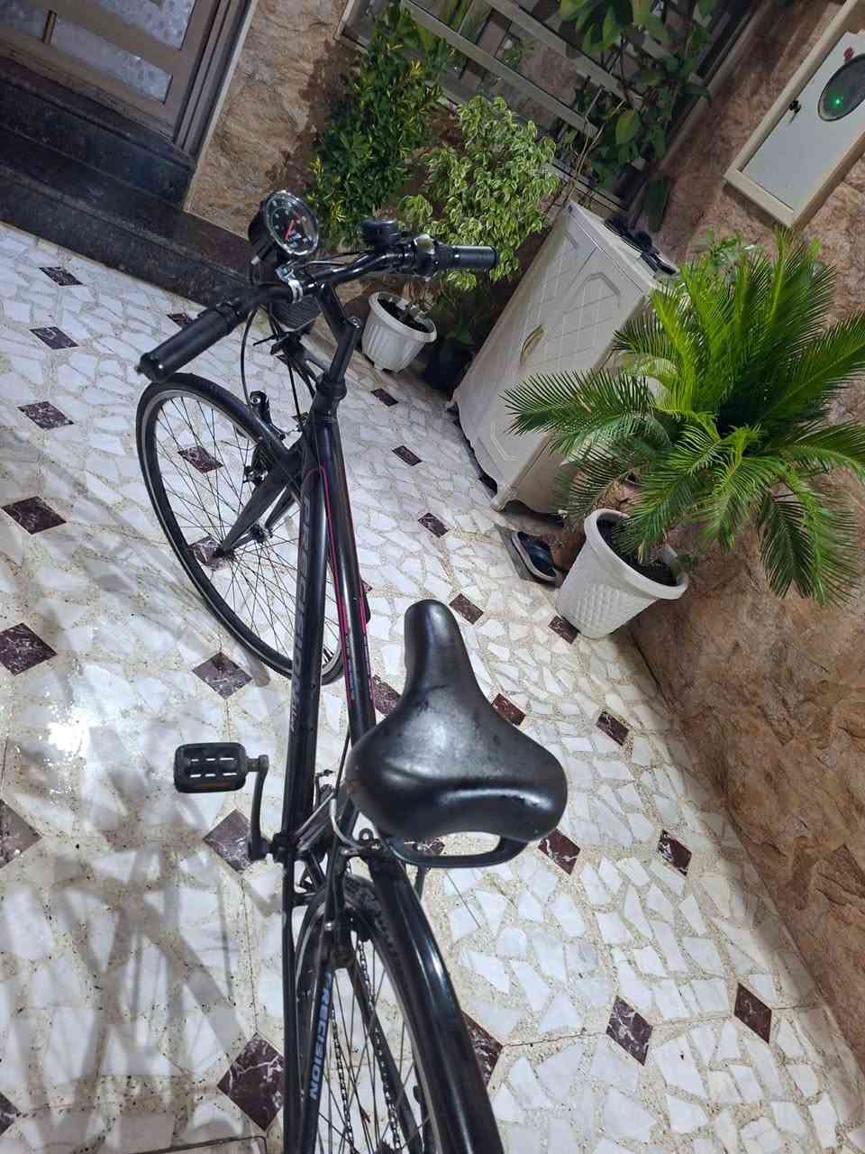 السلام عليكم بايسكل C700 للبيع
شرط كلو شغال وجديد بعدو وكاله العنوان موصل حي الأمن قرب بانزي خانة القاهره السعر 110وبي مجال للاستفسار ***********
