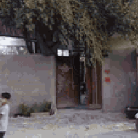 بيت • ٢٤٠م • كربلاء المقدسة