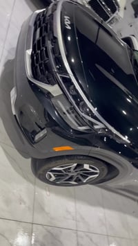 سيلتوز ٢٠٢٤ • فول فول • اربيل