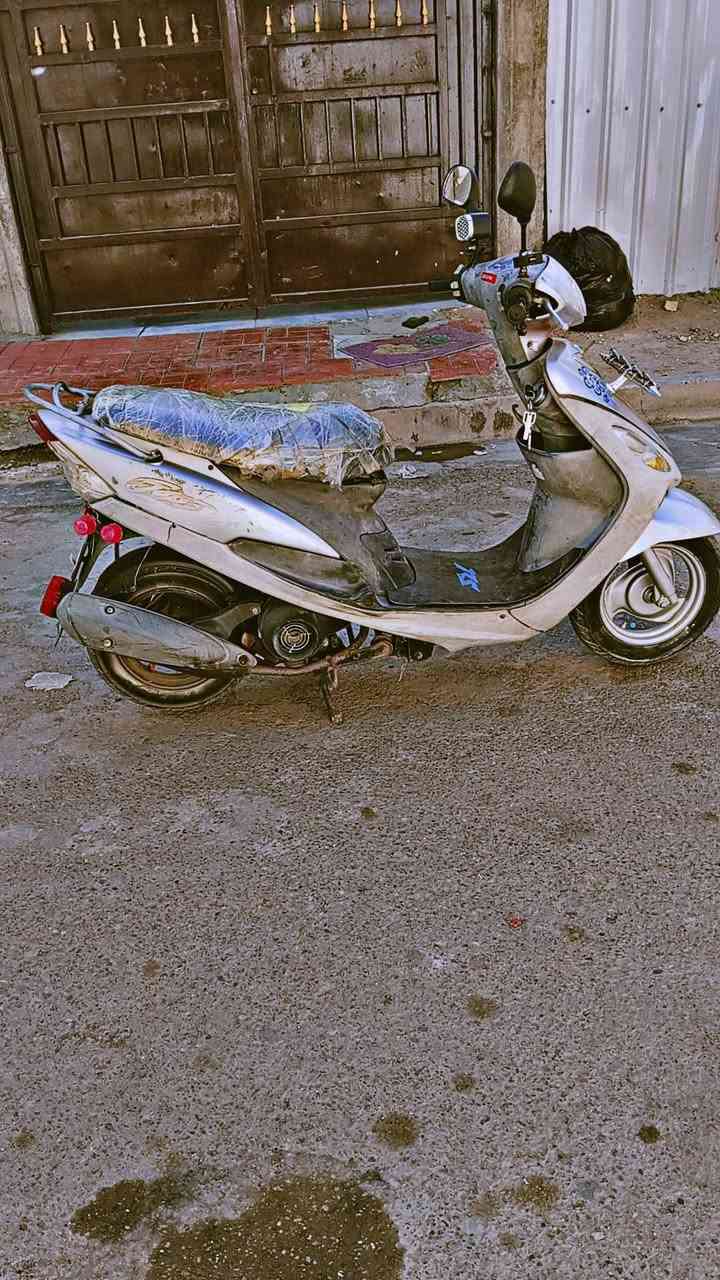 سلام عليكم دراجه للبيع ماكس منغولي
مكاني بغداد 
الرقم ***********
