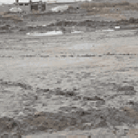 البندقية بالزراعي • ٢٥٠م • للبيع