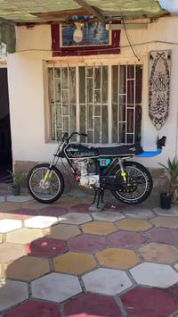 رابيدو • اصلي • اوراق