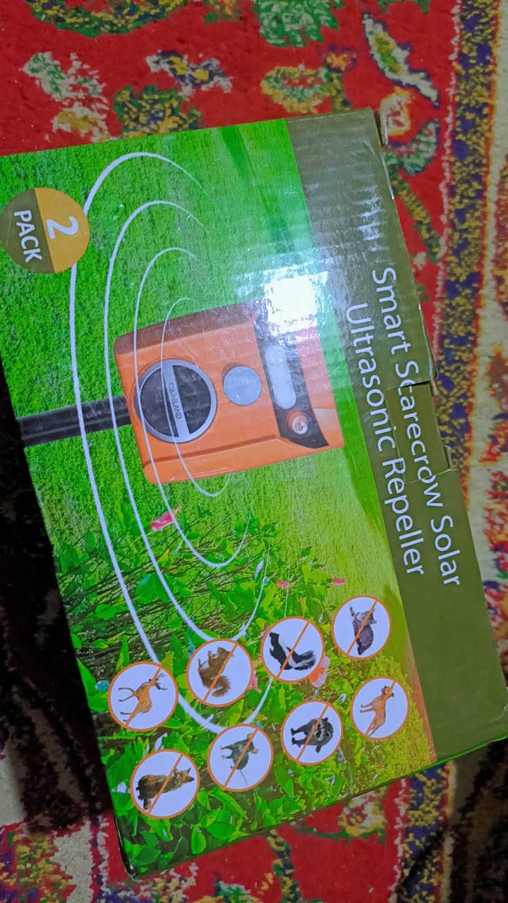 غراض للبيع بأسعار مناسبة جداً الشراي يتفضل خاص


**إذا كنت صاحب هذا الإعلان وتريد حذفه لأي سبب، رجاءا أرسل رسالة إلى الدعم الفني**