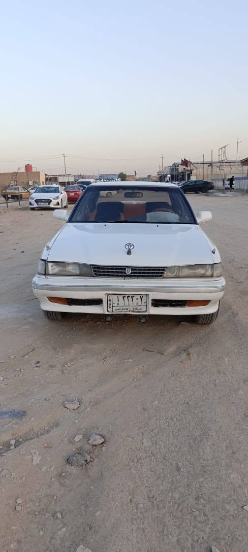 مارك عضم رقم كربلاء باسمي لل ٢٩ مكفوله من الكصه ونقل الجثه تخم تاير تبريد شغال مشط مال حاويه ستوني شاده 
مكانه كربلاء الحر السعر ٣٩ رقم الهاتف *********** كربلاء, العراق
