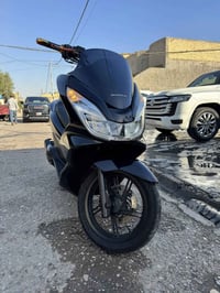 PCX • حاوية • مو شارع