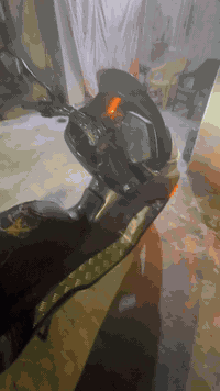 فورزه 08 عميه بلادي كفاله عامه سعر 1100وبيه مجال  رقم *********** مكان دراجه ديالى جديده شط
