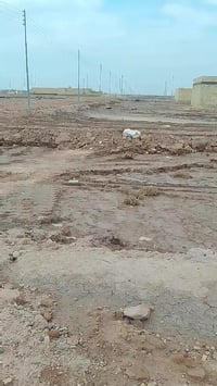 زراعي • ١٢٥م • مجمع ابو كرار