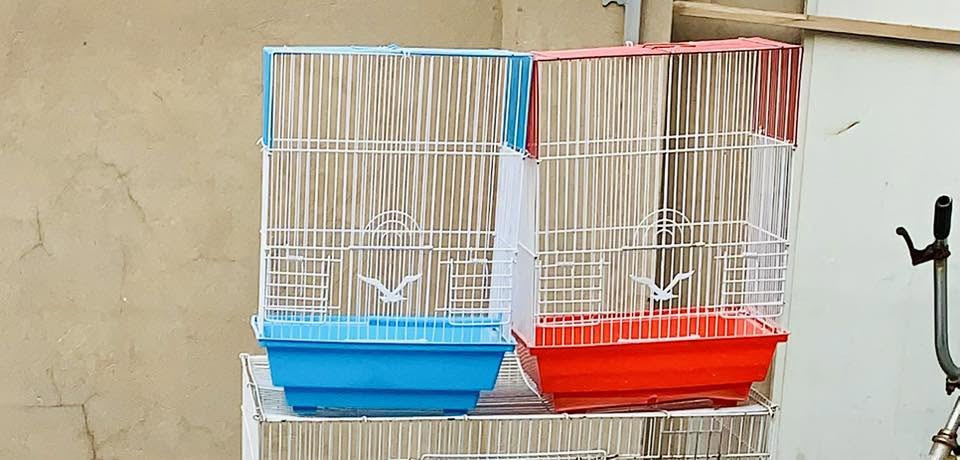 سلام عليكم  عندي اقفاص واضح ..اليريدهن يتصل هذه الرقم ‭‬  ‭‬ *********** مكانك بغداد

